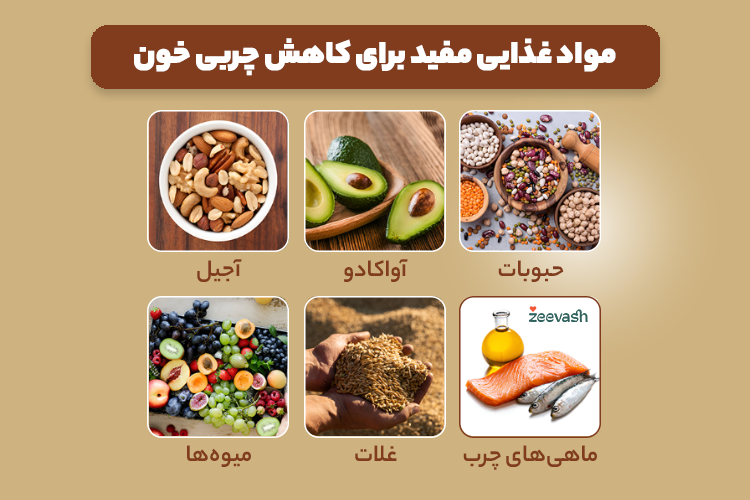 مواد غذایی مفید برای کاهش چربی خون